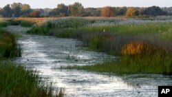 FILE - The sun sets on St. John's Marsh wetlands area in Clay Township, Michigan.