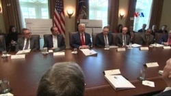 Թրամփը դատապարտում է դեմոկրատ ախոյաններին