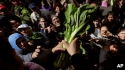 Cientos de personas acudieron al llamado de los agricultores argentinos que distribuyeron cajas de lechuga, espinaca y otras verduras.