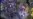 16x9 Image