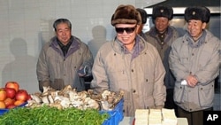 Photo released by North Korea's official Korean Central News Agency shows North Korean leader Kim Jong Il (C) inspecting the Kangdong Weak-current Apparatus Factory (Jan 2010 File)