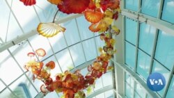A Dazzling Display of Glass Artistry in Seattle