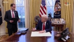 Իրավապաշտպան կազմակերպությունները դատապարտում են ապօրինի միգրանտներին Գուանտանամոյում պահելու Թրամփի նախաձեռնություհը