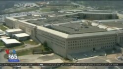 اخبار شامگاهی