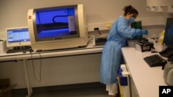 A member of medical personnel works with collected nose swab samples for a COVID-19 PCR test at the MontLegia CHC hospital, during a gradual lifting of a lockdown to prevent the spread of the coronavirus, in Liege, Belgium, Friday, May 8, 2020. (AP…