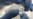 Governments, Competitors Cooperate to Produce Ebola Vaccine
