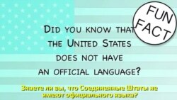 Грамматика на каждый день – Грамматические правила