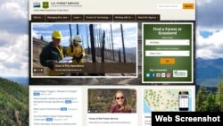 A portion of the home page of the U.S. Forest Service.