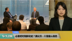 VOA连线(李逸华)：必要时对朝鲜动武？美议员：川普是认真的