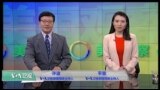 VOA卫视(2016年11月12日 美国观察)
