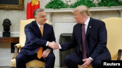 El presidente Donald Trump saluda al primer ministro de Hungría, Viktor Orban, en la Oficina Oval en la Casa Blanca, en Washington, el lunes, 13 de mayo de 2019. 