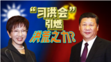 “习洪会”引燃国民党的“洪”荒之力?