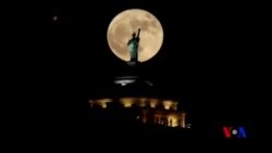 مانگی چواردە ببینە