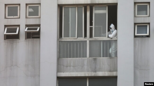 中国湖北省武汉市一家医院，一名医护人员从窗口向外望去。（2020年1月20日）