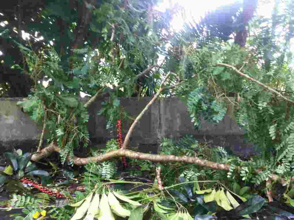 Imágenes de la situación en Puerto Rico tras el paso del huracán Irene.