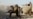 Iraqi Forces Pound IS Militants Near Ramadi