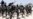 Al-Shabab Militant Killed in US Airstrike