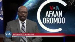 Tamsaasa Guyaadhaa Guyyaa