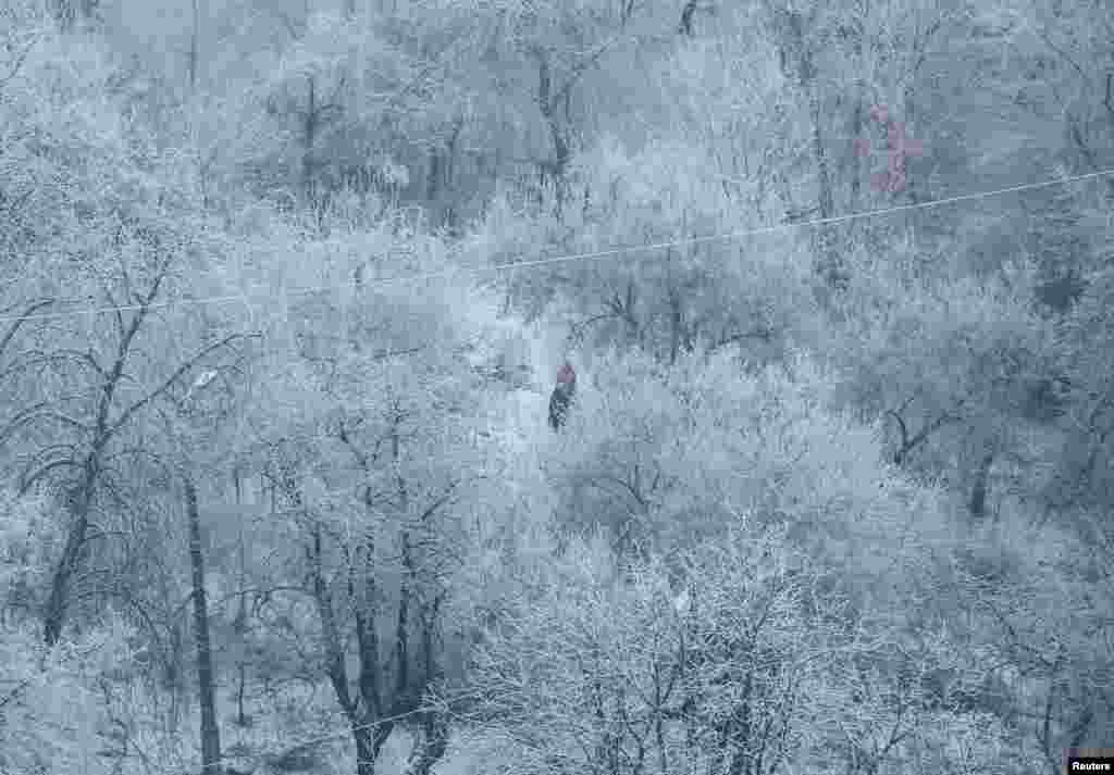 People walk amidst snow-covered trees on a frosty morning in Kyiv, amid Russia&#39;s attack on Ukraine.