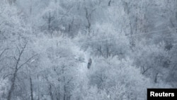 People walk amidst snow-covered trees on a frosty morning in Kyiv, amid Russia&#39;s attack on Ukraine.