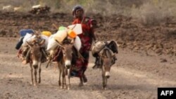 Une Djiboutienne conduit ses ânes dans le village de Garabtisan, au nord de Djibouti.