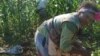 Tanya Spandla, a Zimbabwean woman farmer growing traditional vegetables for Zimbabweans and other Africans living in USA.