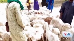 Djagow Gueleyaw Youwarou mopti marala