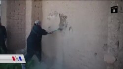 Parastina Şûnwarên Dîrokî ji Tundrêyan