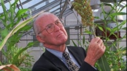 The Continuing Legacy of Norman Borlaug
