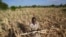 Seorang petani di distrik Mangwe di Zimbabwe, berdiri di tengah ladangnya yang kering akibat kekeringan yang melanda negara itu pada 22 Maret 2024. (Foto: AP/Tsvangirayi Mukwazhi)