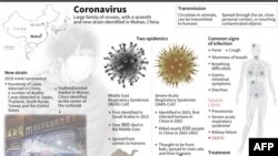 Koronavirus je velika porodica virusa, čiji je sedmi novi član identifikovan u Kini