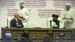 اخبار شامگاهی