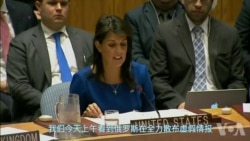 美国及盟国:打击叙利亚是合法、正当的