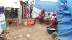 Nigeria WHO Malaria Vaccine -- USAGM