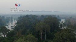 Kecerdasan Buatan Anti Perburuan Liar