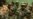 US Joins Condemnation of Mali Coup
