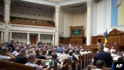 Заседание Верховной рады Украины. Киев. 2024г. (Andrii Nesterenko, Ukrainian Parliament Press Office via AP)