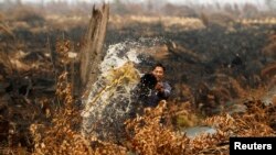 Seorang pekerja menyiram air untuk memadamkan api di perkebunan nanasnya di Tanah Putih di Rokan Hilir, Riau, Juni 2013. (Foto: Dok)