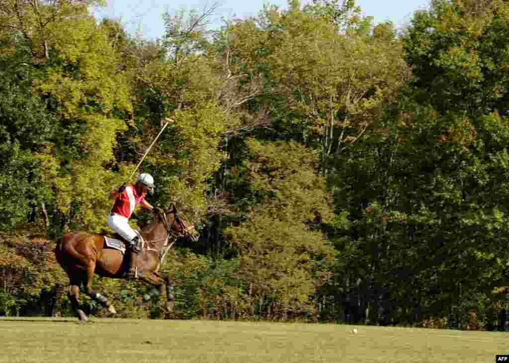 POLO в деревне