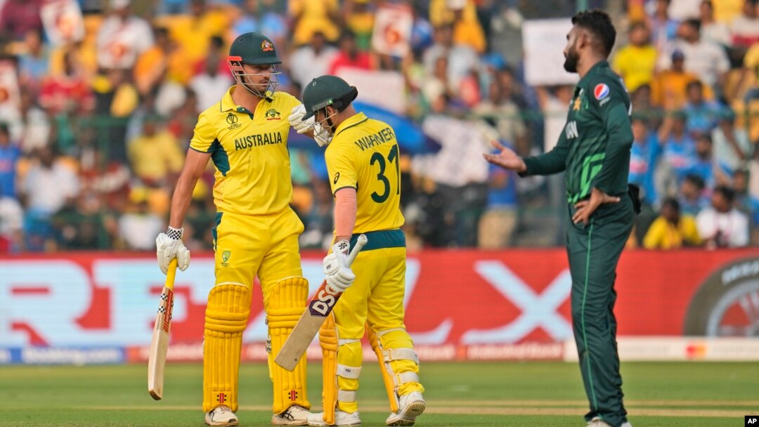 India Cricket WCup