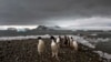 دانشمندان: حتی قطب جنوب هم از تغییرات شدید اقلیمی مصون نیست