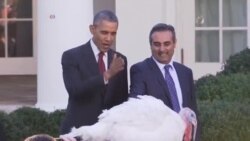 Obama Turkey Pardon