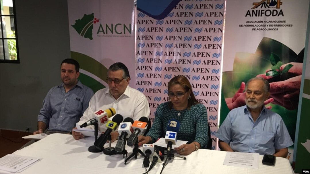El café sigue siendo el principal producto de exportación de Nicaragua. En los primeros siete meses de este año el sector generó 371.8 millones de dólares.