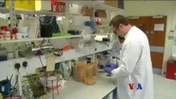 မုတ်ဆိတ်မွှေးထဲက အသုံးဝင်နိုင်မယ့်ပိုးများ