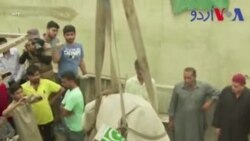کراچی میں گائیوں کو چھت سے نیچے اتارنے کیلئے کرین کا استعمال