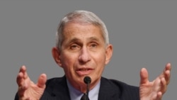 Fauci cautelosamente optimista respecto a vacuna contra COVID-19