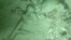 Photo of remnants of the shipwreck located July 12, 2015, in the seabed off of the North Carolina coast. Marine scientists from Duke University, North Carolina State University and the University of Oregon discovered the wreck during a research expedition.