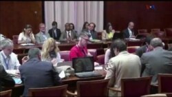 اخبار شامگاهی