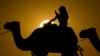 A woman looks at her photo while riding a camel in Mesaieed, Qatar, Nov. 26, 2022. (AP Photo/Ashley Landis)
