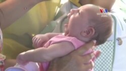 Զիկա վիրուսի վտանգը տագնապալի մակարդակի է հասել